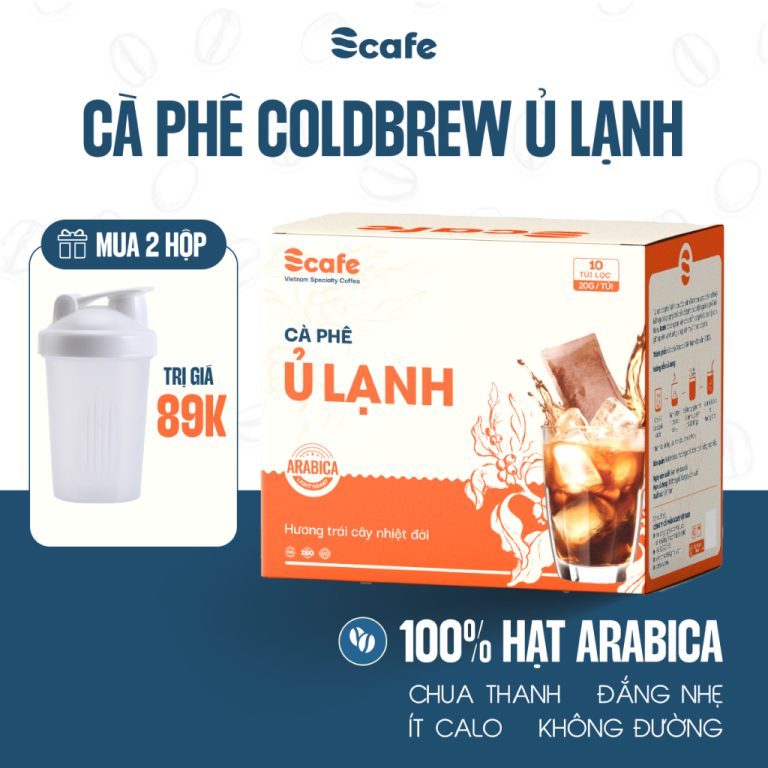Hướng Dẫn Chi Tiết Về Cà Phê Cold Brew Túi Lọc Hạt Arabica 100% Scafe Việt Nam
