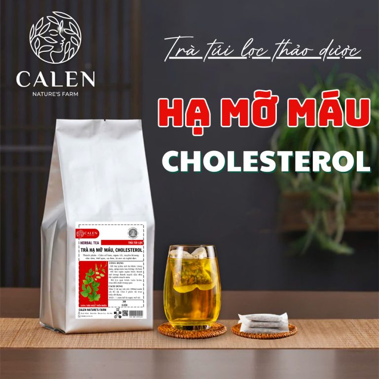Giảm Mỡ Máu, Gan Nhiễm Mỡ, Mỡ Nội Tạng: Hướng Dẫn Từ A đến Z Cho Phụ Nữ Việt