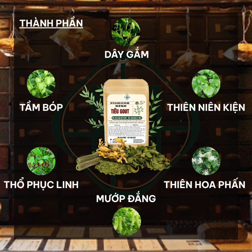 Tr�  Tiêu Gút (Gout) (2)