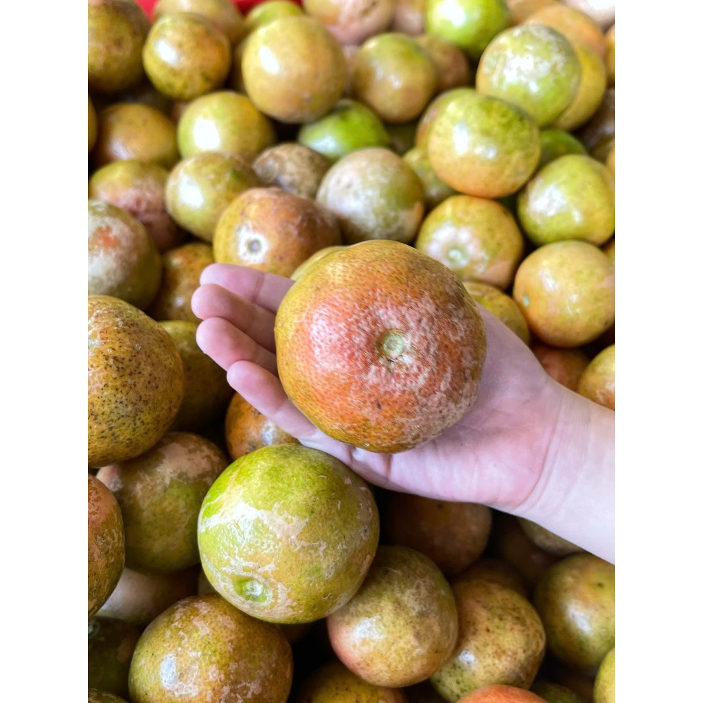 Chanh �� o Mật Ong �ư�ng Phèn Phúc Khang 300g (3)