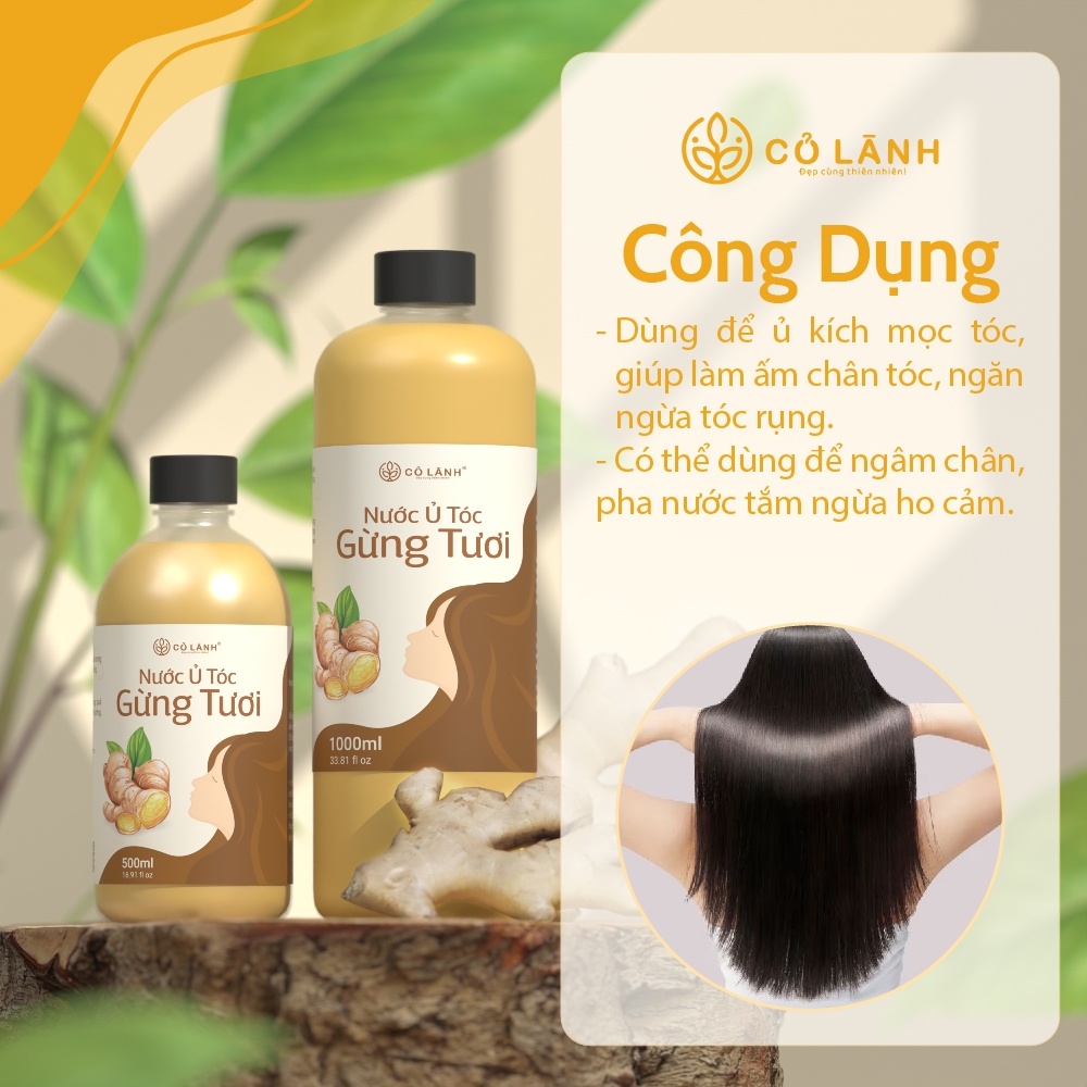 Nước Ủ Tóc Gừng Tươi Cỏ Lành (3)