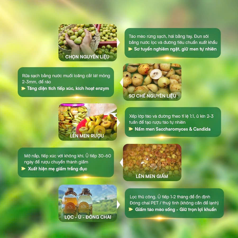 Giấm Táo Mèo Giảm Cân Hi�u Quả (4)