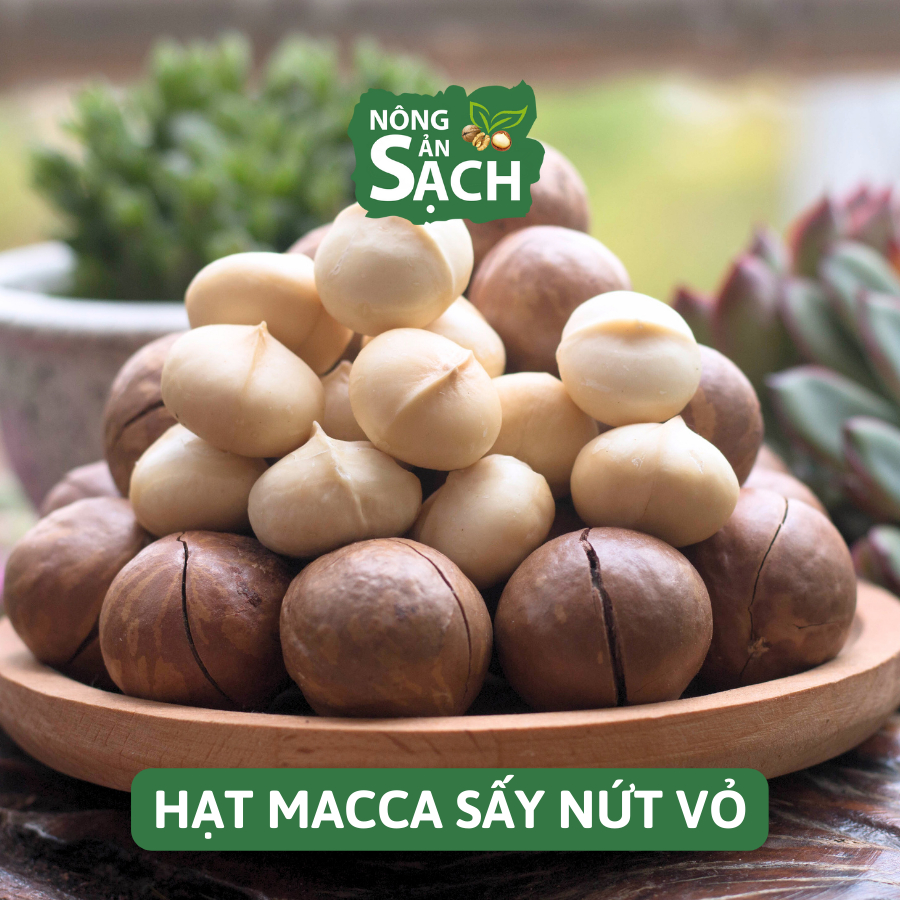 Hạt Macca Lâm ��ng Size A Sấy Lạnh Cao Cấp Nh�  Tr�ng Di ... (4)