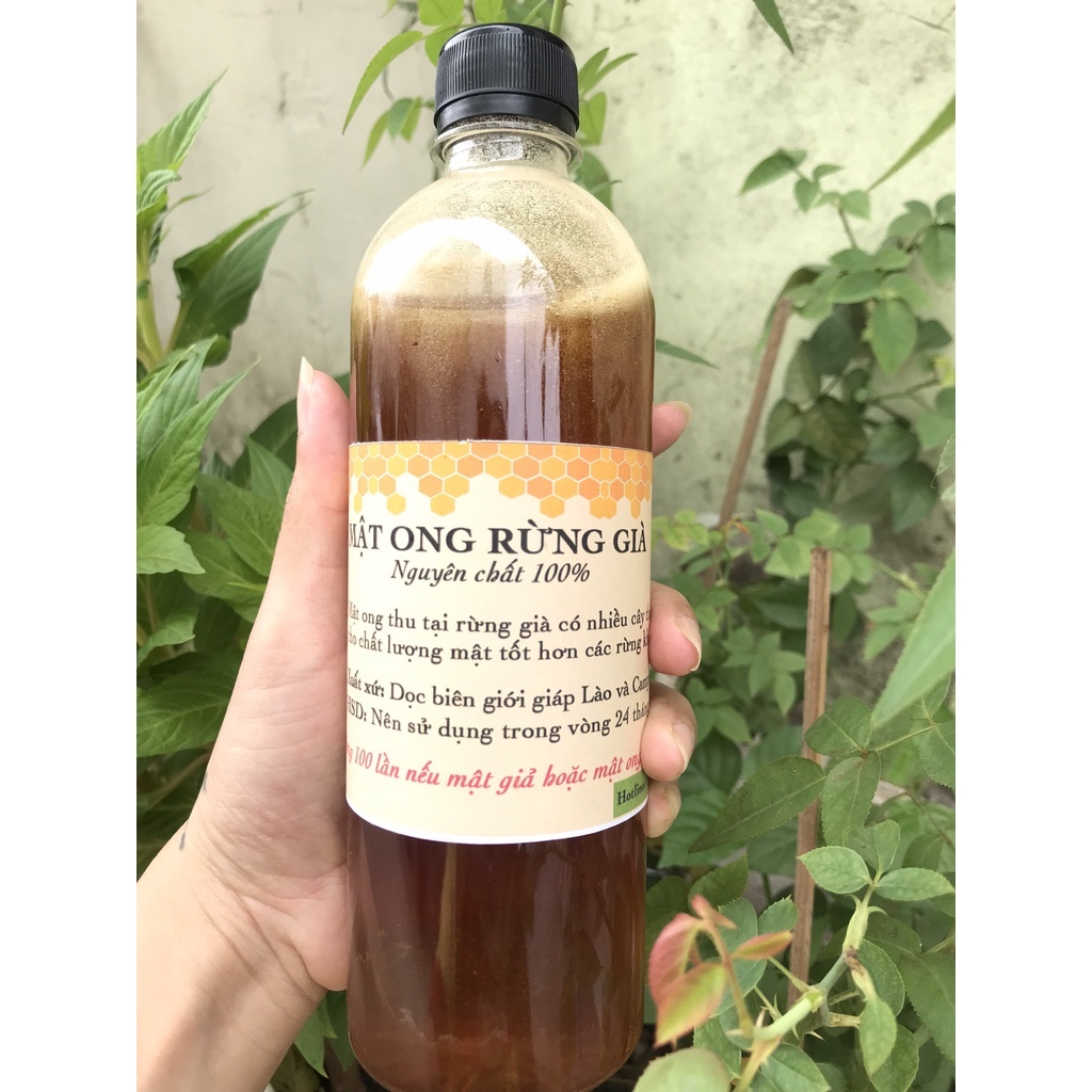 Mật Ong Rừng Gi�  Tự Nhiên LengKengFarm (4)