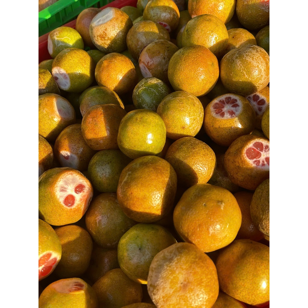 Chanh �� o Mật Ong �ư�ng Phèn Phúc Khang 300g (4)