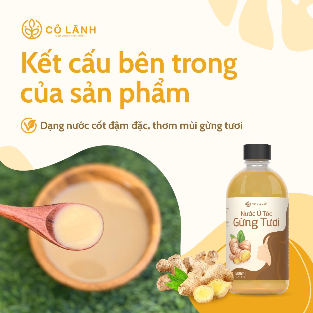 Nước Ủ Tóc Gừng Tươi Cỏ Lành (4)