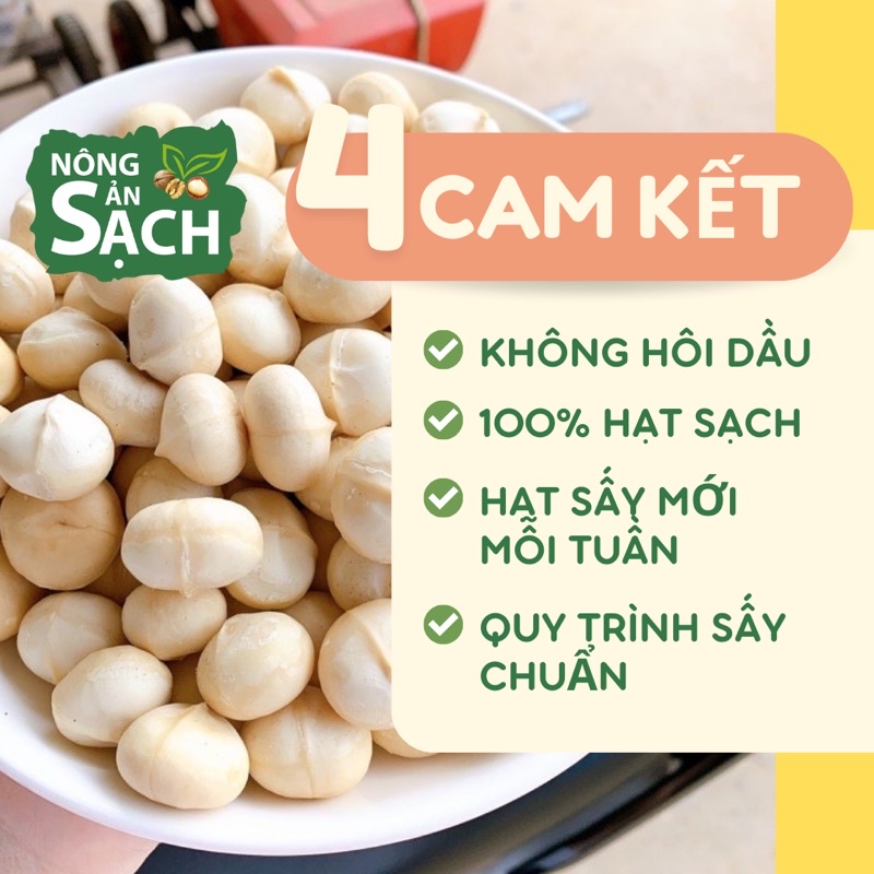Hạt Macca Lâm ��ng Size A Sấy Lạnh Cao Cấp Nh�  Tr�ng Di ... (5)