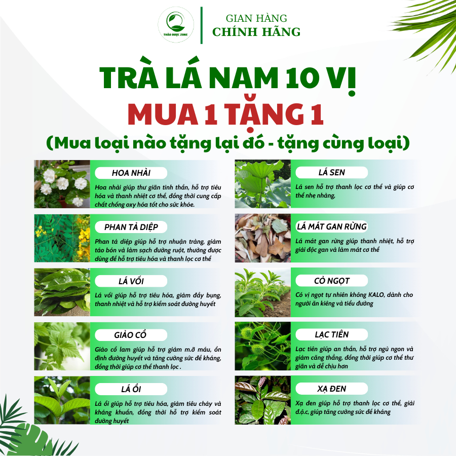 [Mua 1 Tặng 1] Tr�  Lá Nam 10 V� Thảo Dược Zone (5)