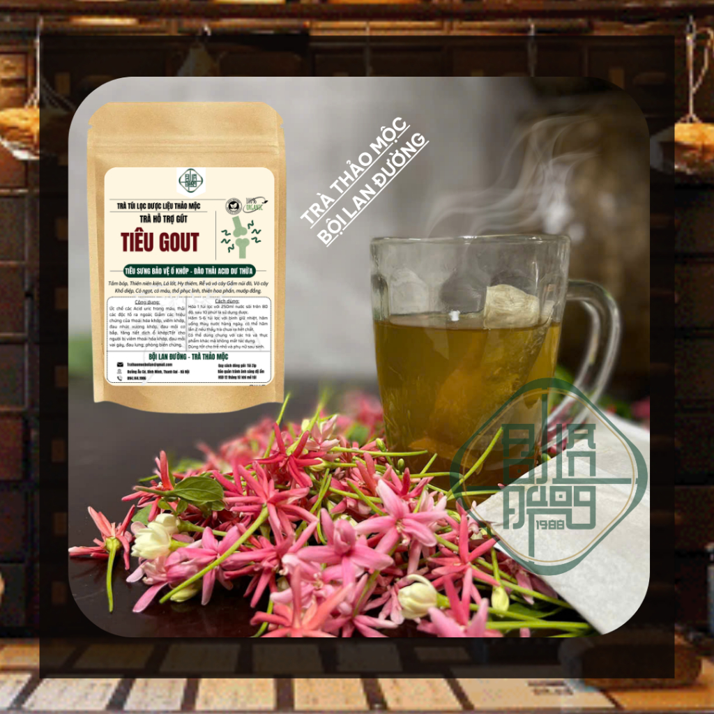 Tr�  Tiêu Gút (Gout) (5)