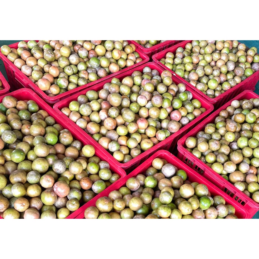 Chanh �� o Mật Ong �ư�ng Phèn Phúc Khang 300g (5)