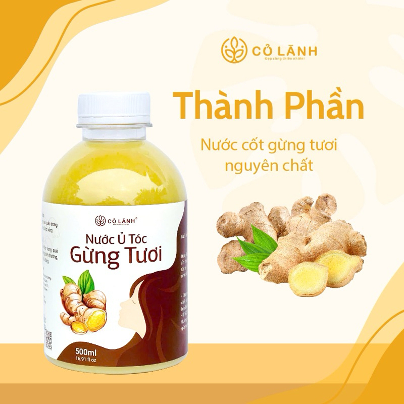Nước Ủ Tóc Gừng Tươi Cỏ Lành (5)
