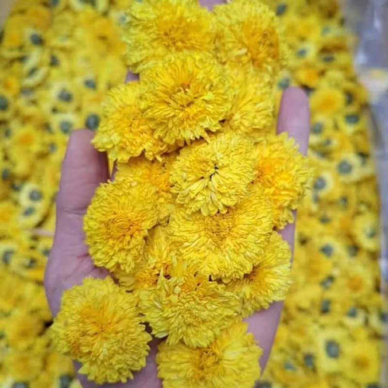 Tr�  Lạc Tiên Tâm Sen Bình An (6)