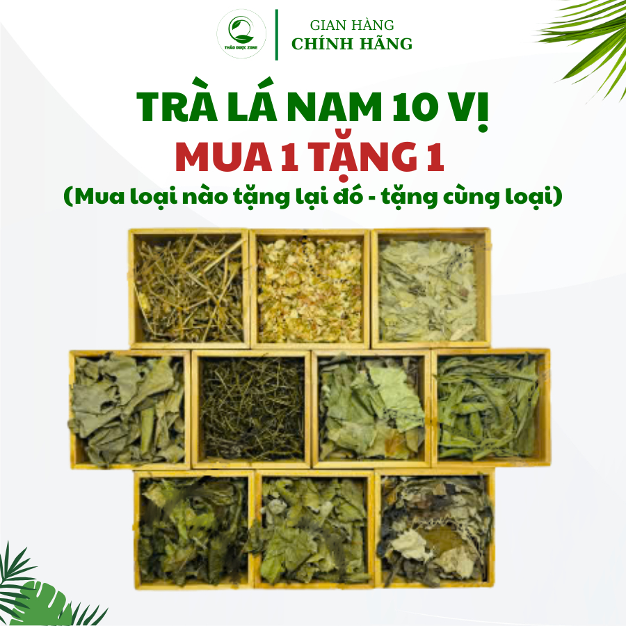 [Mua 1 Tặng 1] Tr�  Lá Nam 10 V� Thảo Dược Zone (6)