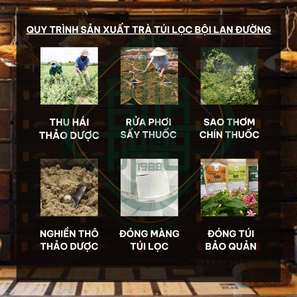 Tr�  Tiêu Gút (Gout) (6)