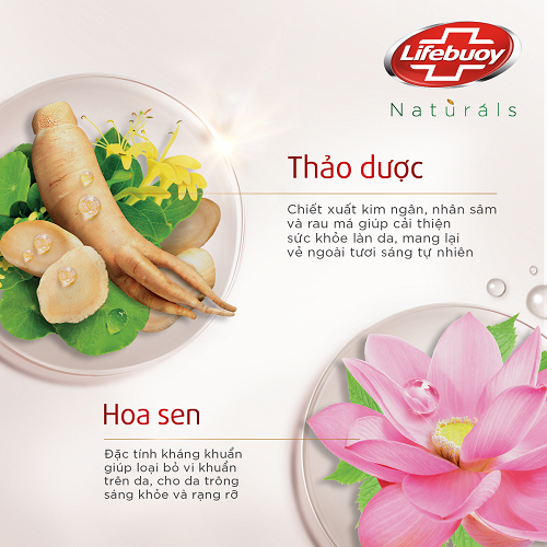 Combo 2 Sữa tắm Lifebuoy Thiên nhiên Detox Và Chăm Sóc Ch... (6)