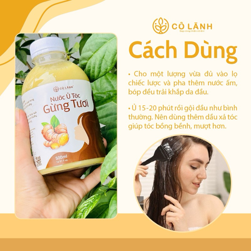 Nước Ủ Tóc Gừng Tươi Cỏ Lành (6)
