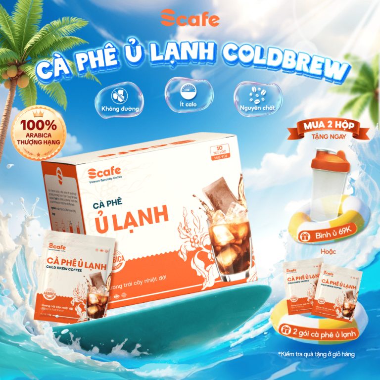 Hướng Dẫn Tận Hưởng Cà Phê Ủ Lạnh Cold Brew Hạt Arabica Nguyên Chất Tại Nhà