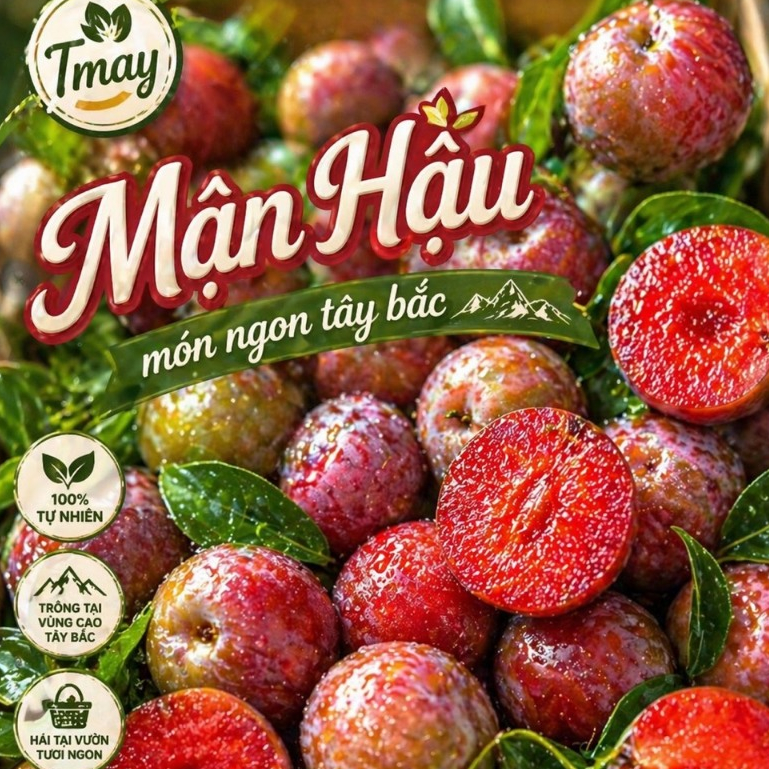 Hướng Dẫn Chọn Mận Hậu Tây Bắc: Một Trái Cây Ngon Lành Cho Phụ Nữ Việt
