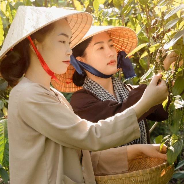 Viên tinh ngh� sữa ong chúa nguyên bản Thuận Thiên (2)