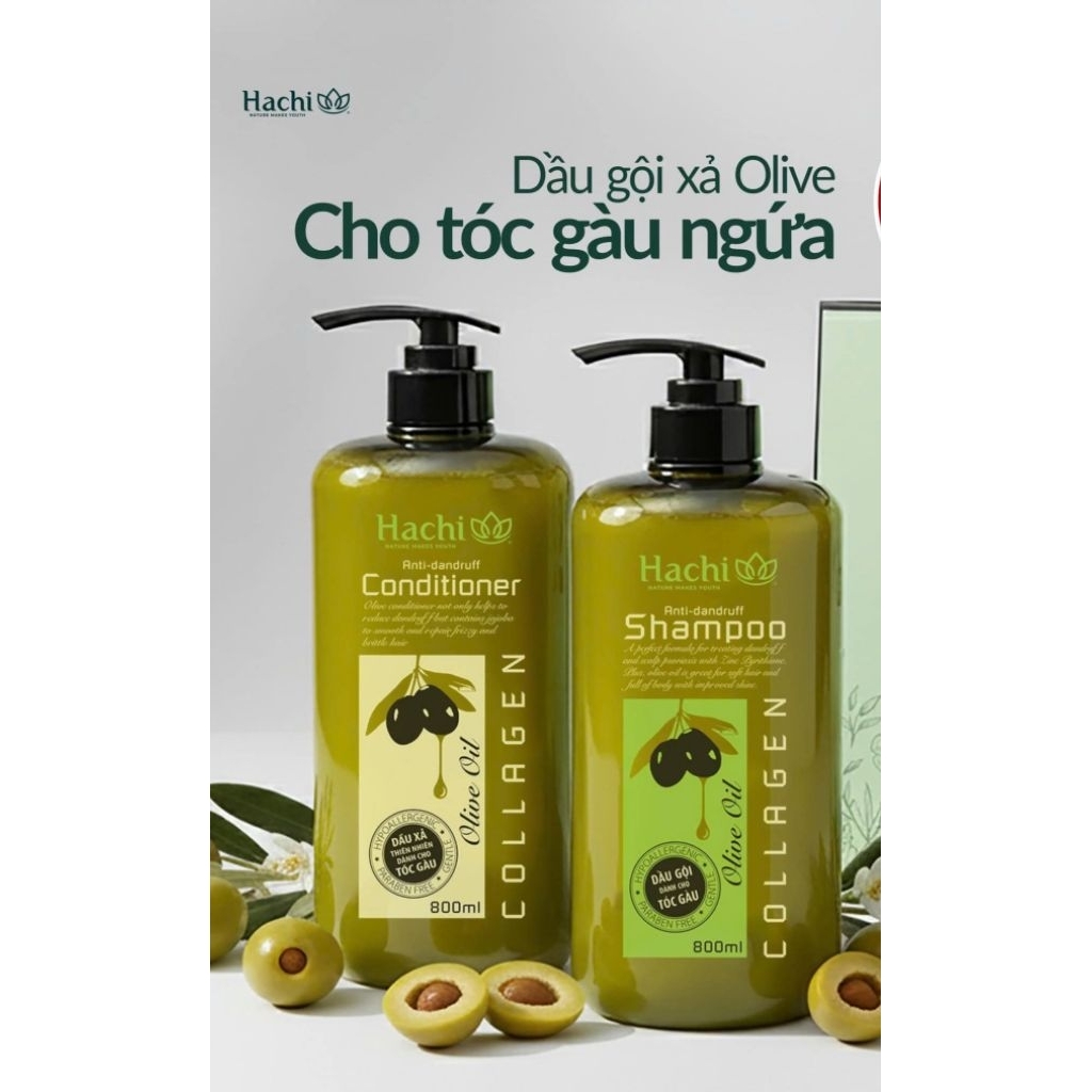 [ ✔️ Chính Hãng ] Cặp dầu Gội & Xả Hachi Olive (2)