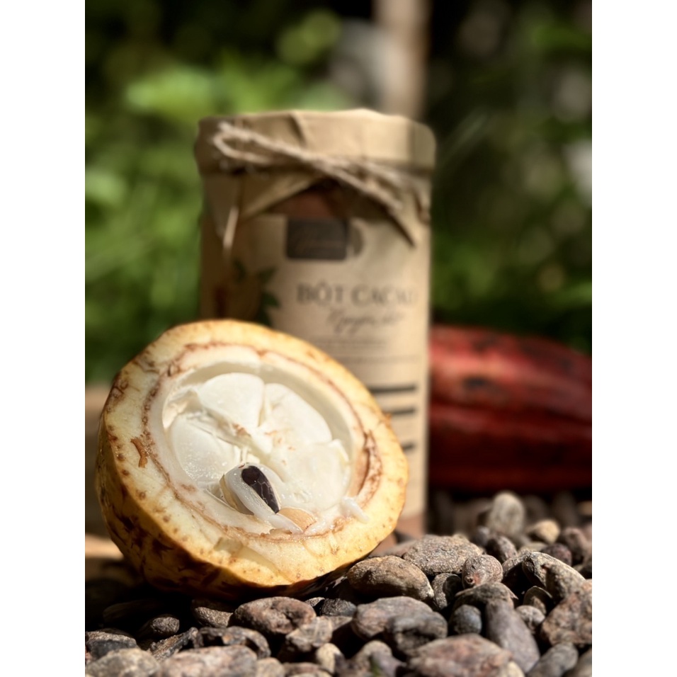 Bột cacao nguyên chất 100% cacao Việt Nam (2)