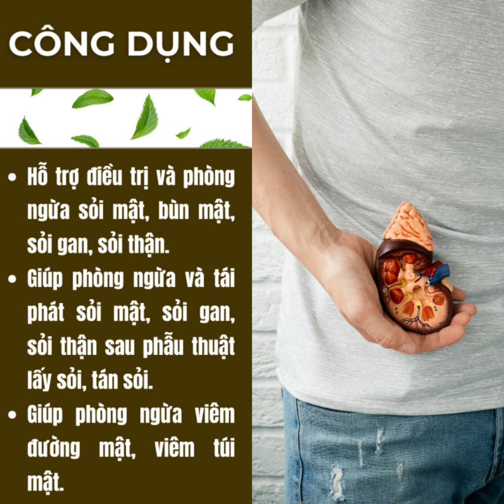 Tr�  Tán S�i B�i Lan �ư�ng (2)