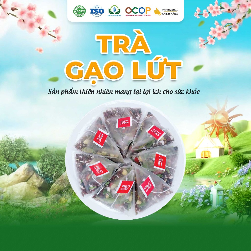 1 Hộp Hoặc Combo 2 Hộp 60 Túi Trà Gạo Lứt (2)