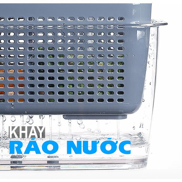 H�p Nhựa TO �ựng Thực Phẩm Tủ Lạnh 2 L�p Có L� Thoát Nư�c... (3)