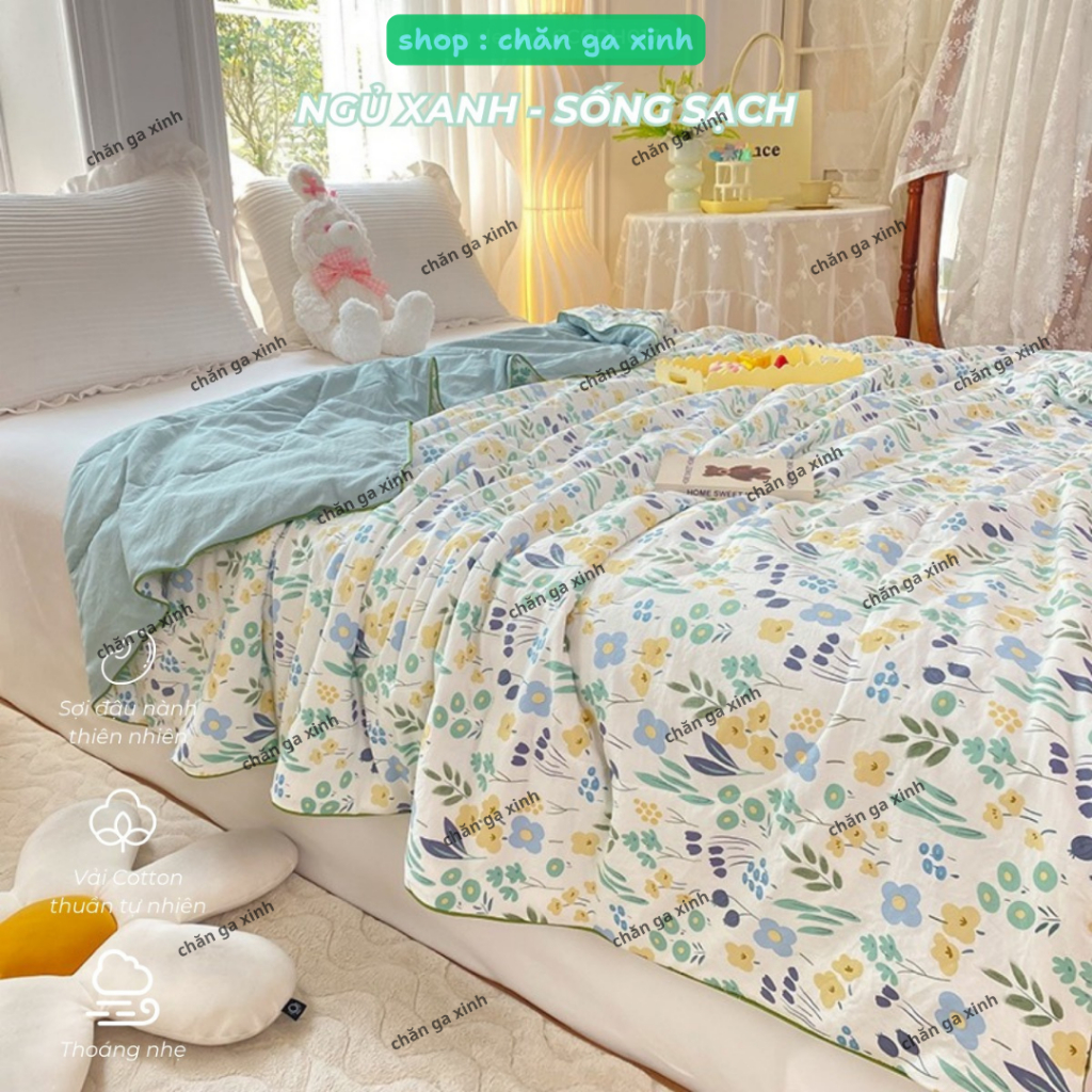 Ch�n hè cotton �ũi xơ �ậu n� nh m�n hè 1m8 (3)