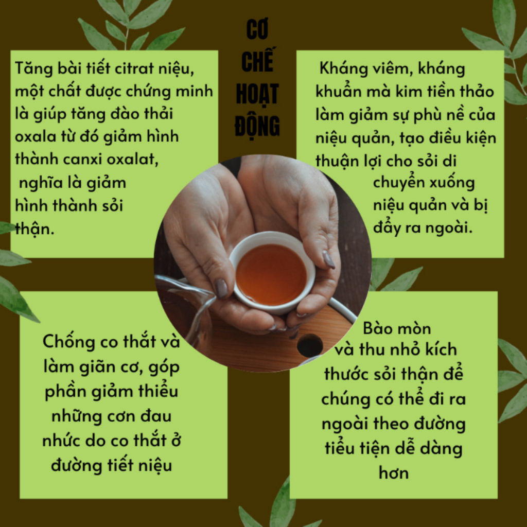 Tr�  Tán S�i B�i Lan �ư�ng (3)