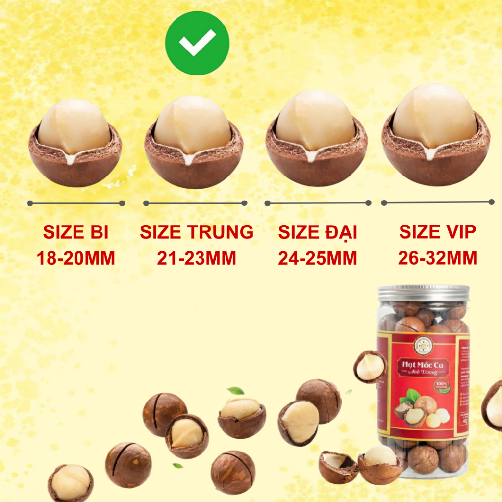 Combo 1KG Hạt Macca Đắk Lắk Cao Cấp Loại 1 (3)