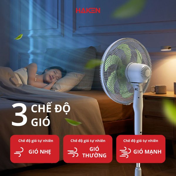 Quạt cây �ứng HAKEN (3)