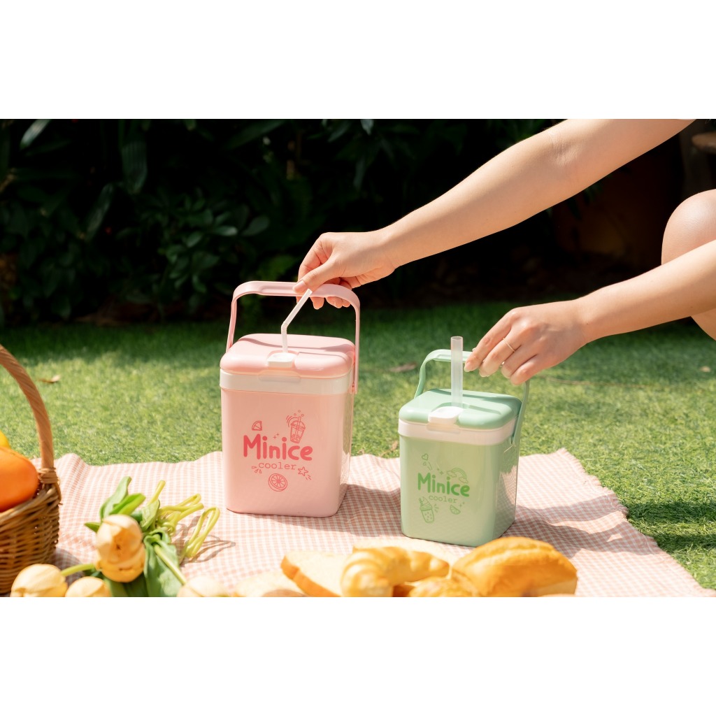 Thùng �á Minice 1 2.1 3L DUY T�N nhựa PP (4)