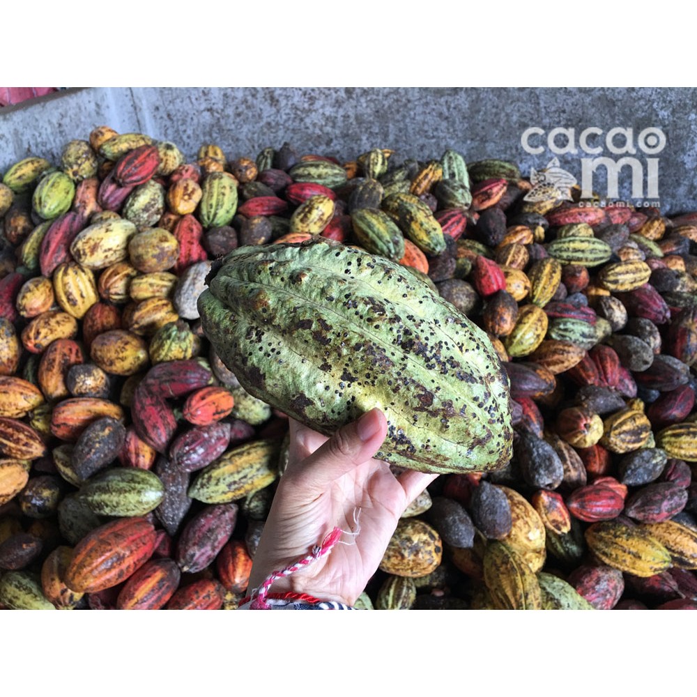 Bột ca cao nguyên chất không đường CACAOMI Premium pha ch... (4)
