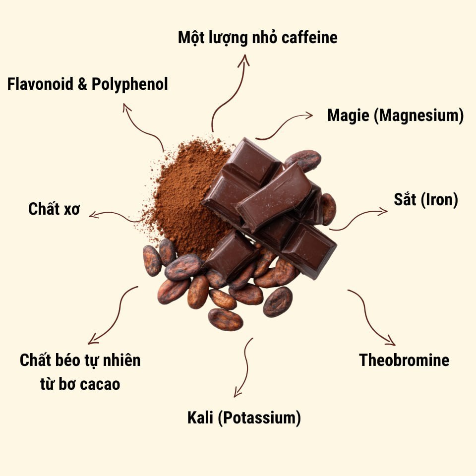 Bột cacao 100% nguyên chất không đường gu truyền thống CA... (4)