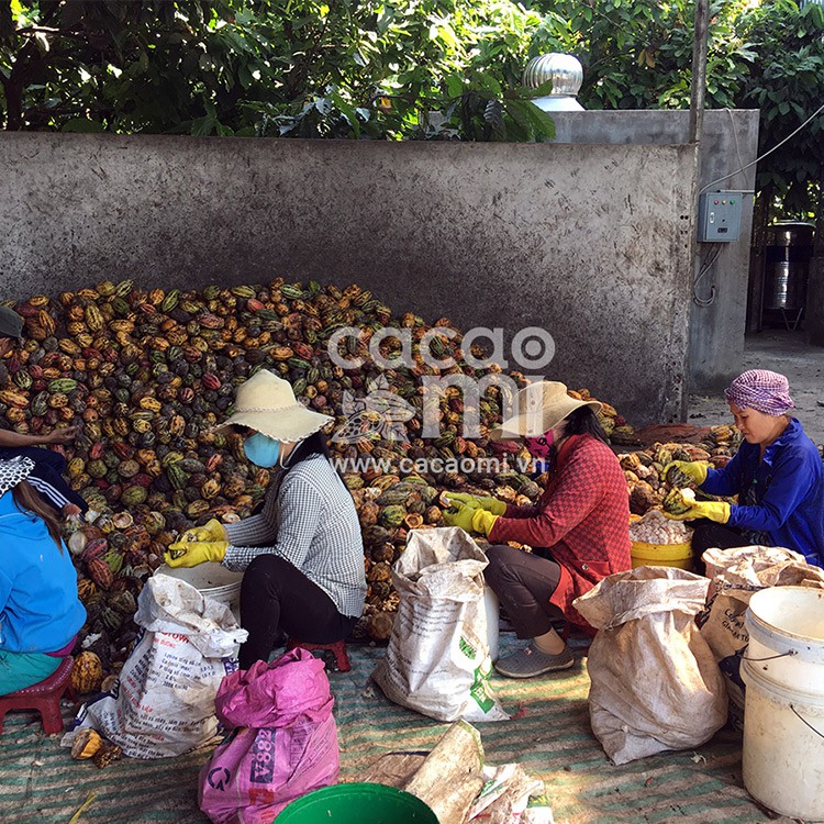 Thức uống socola Bột ca cao nguyên chất 100% gu đậm Cacao... (4)