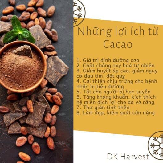 Bột Cacao Nguyên Chất DK Harvest (4)