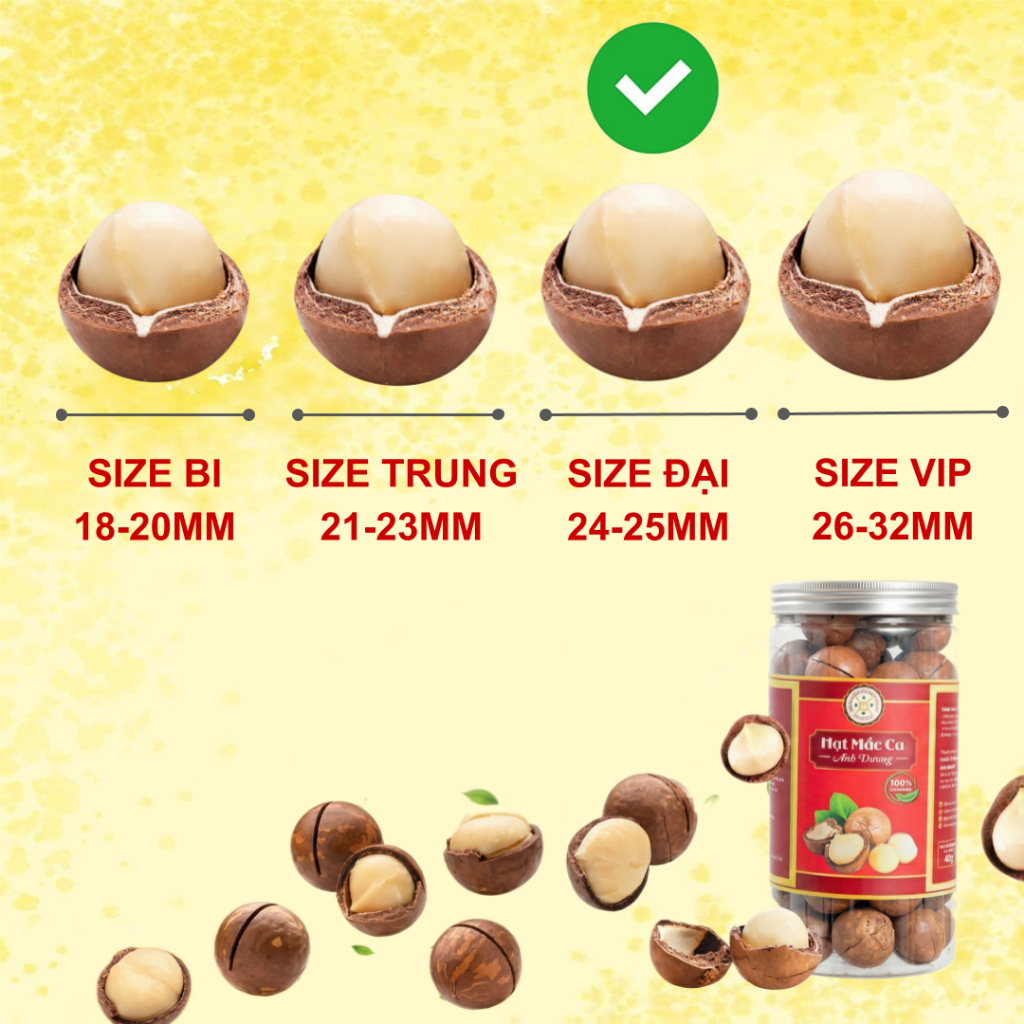 Combo 1KG Hạt Macca Đắk Lắk Cao Cấp Loại 1 (4)