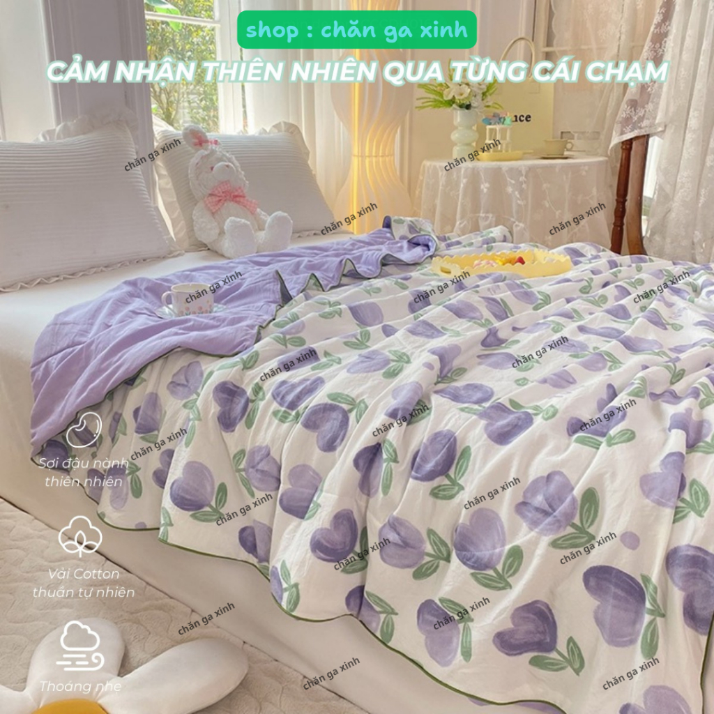 Ch�n hè cotton �ũi xơ �ậu n� nh m�n hè 1m8 (5)