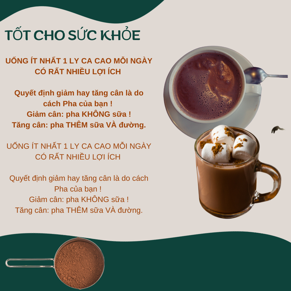 Bột Ca Cao Nguyên Chất Đắk LắK PM Giàu Chất Dinh Dưỡng Gi... (5)