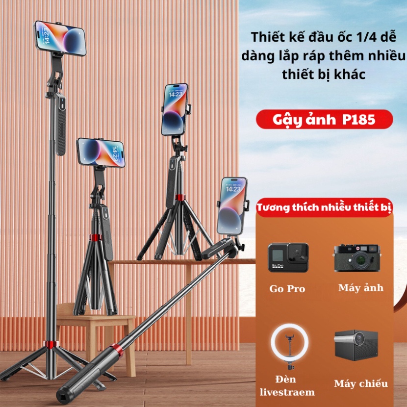 Gậy chụp ảnh 4 chân P185 (5)