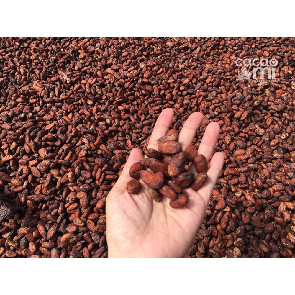 Bột ca cao nguyên chất không đường CACAOMI Premium pha ch... (5)