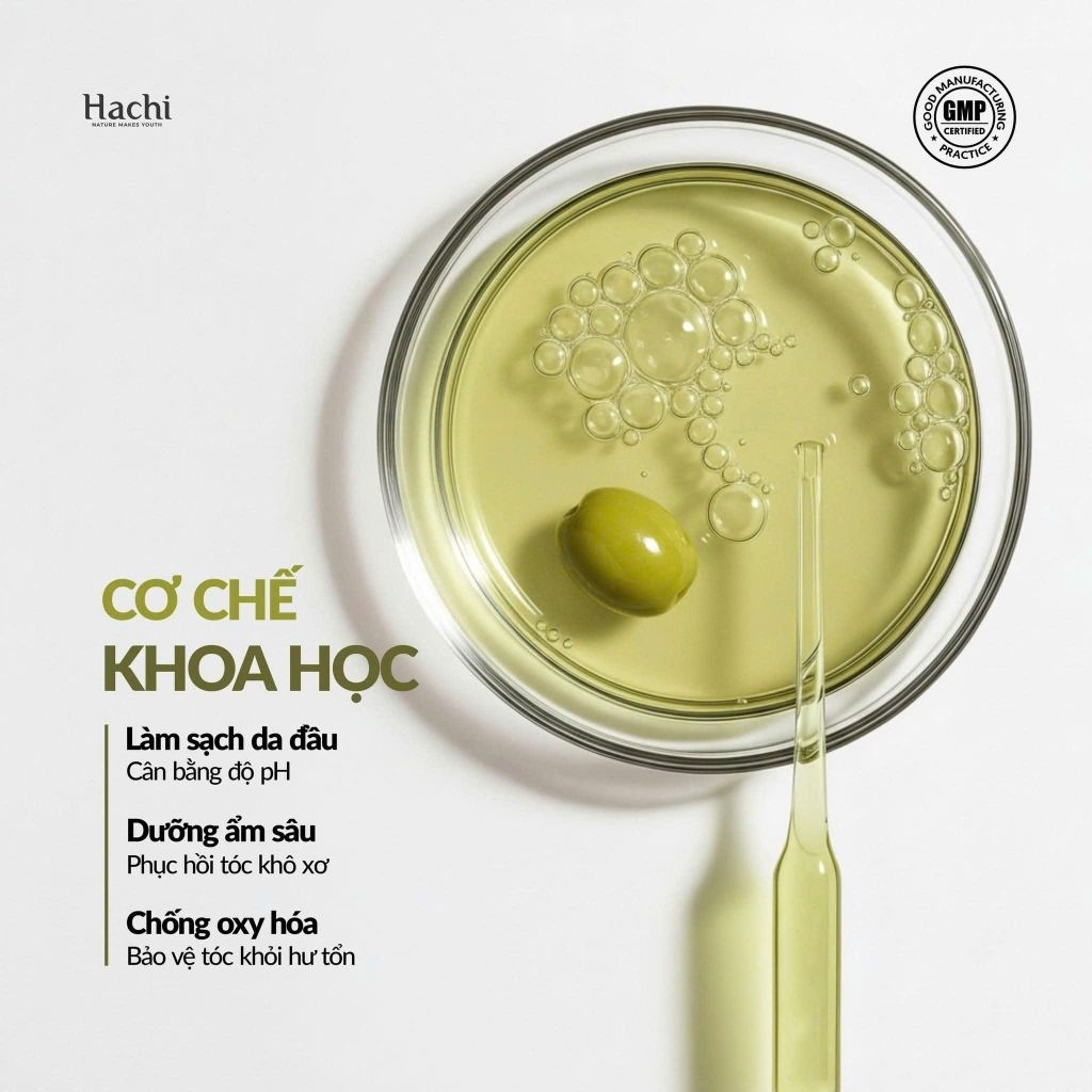 [ ✔️ Chính Hãng ] Cặp dầu Gội & Xả Hachi Olive (5)