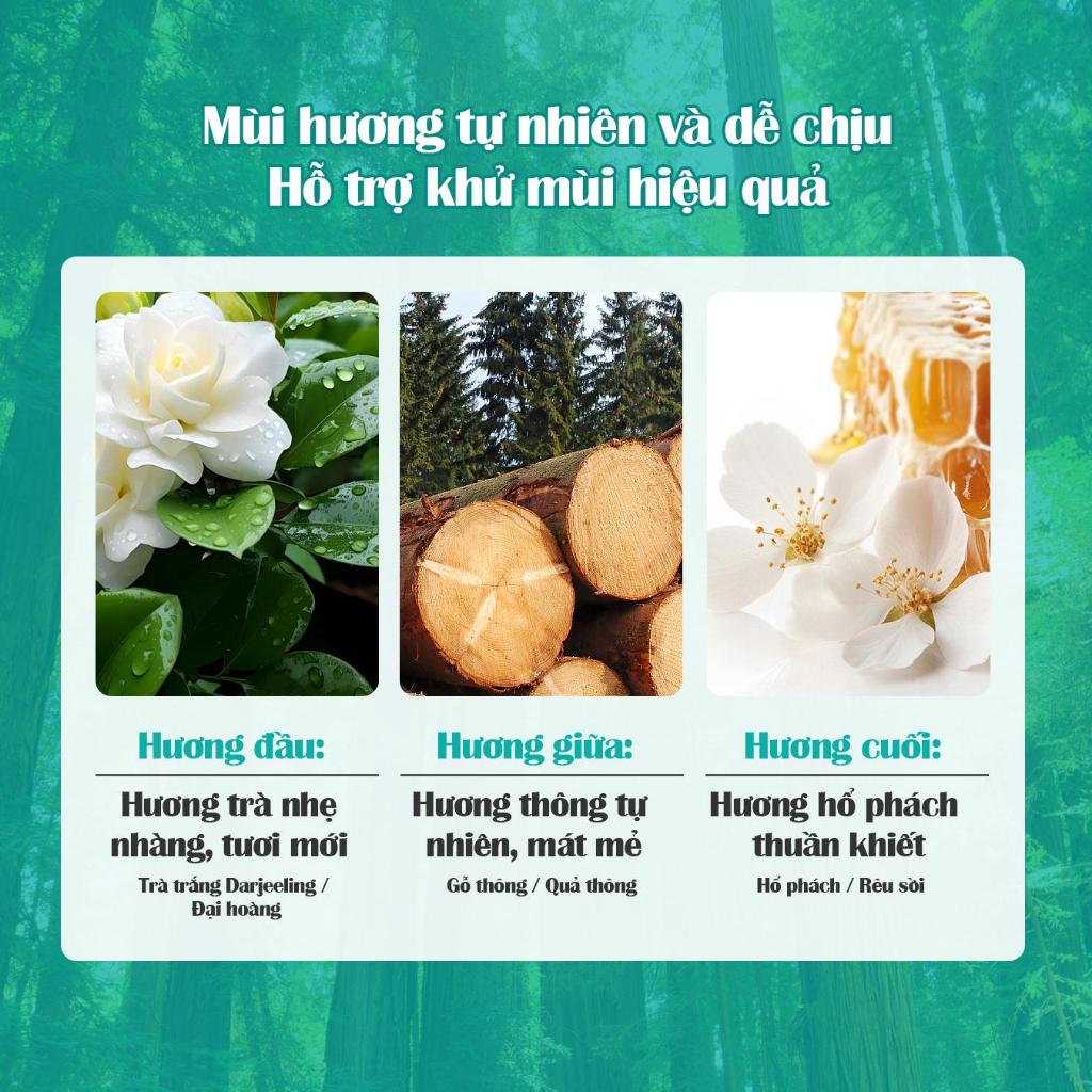 [MUA 2 TẶNG 1] Nước Tẩy Bồn Cầu Flashman 500g (5)