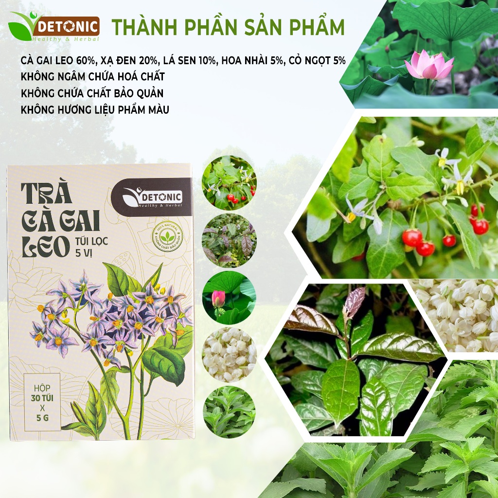 Trà cà gai leo DETONIC hỗ trợ thanh nhiệt cơ thể giải độc... (5)