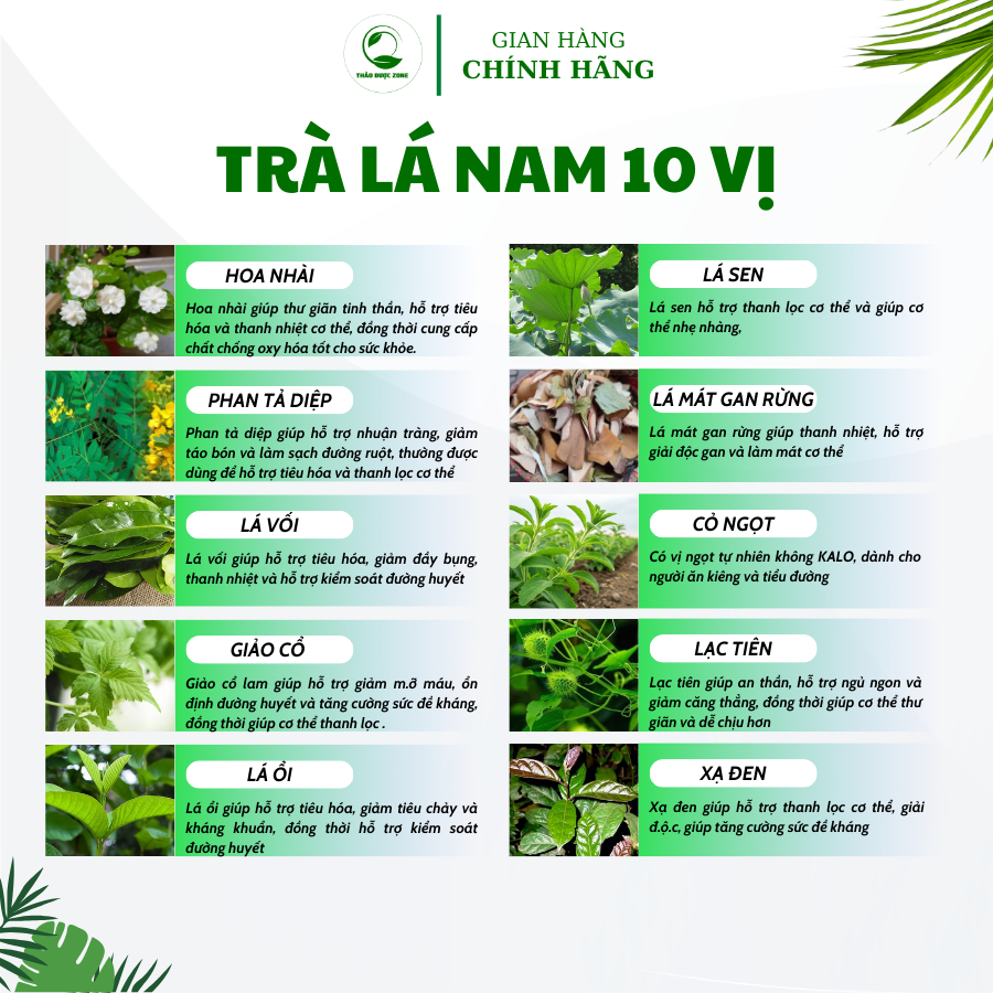 Trà Lá Nam 10 Vị Thảo Dược Zone (5)