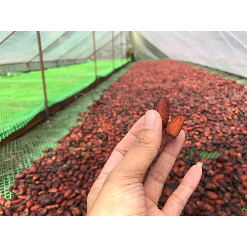 Cacao Nibs hạt ca cao rang mộc giàu flavanol CACAOMI ăn e... (5)