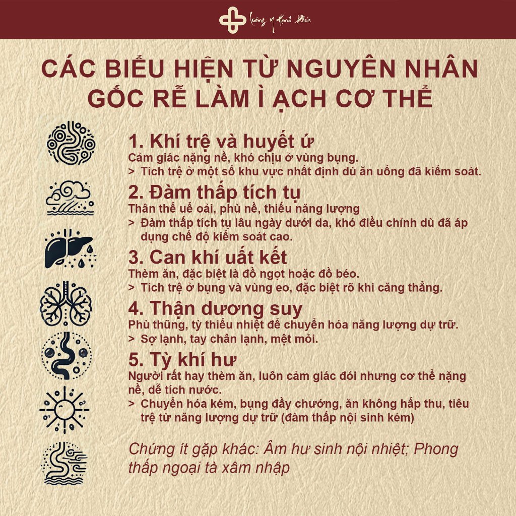 Trà Tiêu Thực (5)