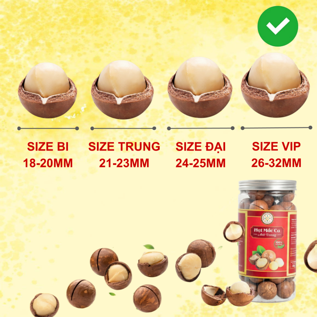 Combo 1KG Hạt Macca Đắk Lắk Cao Cấp Loại 1 (5)