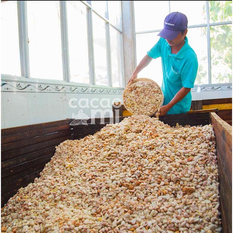 Bột cacao nguyên chất 100% không đường CACAOMI (6)